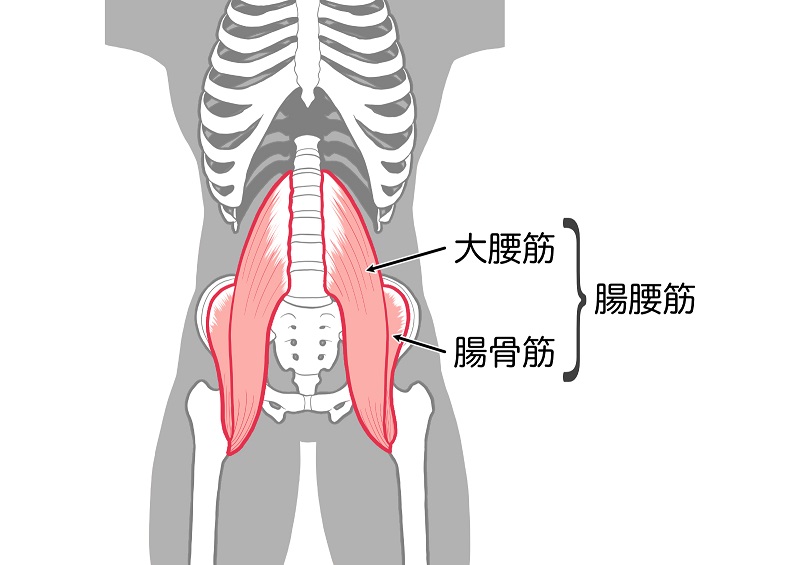 腸腰筋の緊張